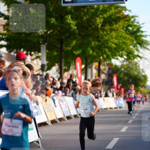20.09.2026 - PSD Bank Halbmarathon LAZAROV Photography http://msf.ph/oto/10510343 20.09.2026 10:29:51 Laufen 279 meine-sportfotos.de