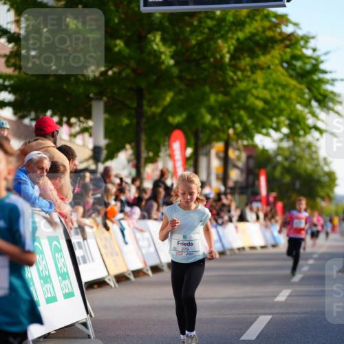 20.09.2026 - PSD Bank Halbmarathon LAZAROV Photography http://msf.ph/oto/10510347 20.09.2026 10:29:51 Laufen  meine-sportfotos.de
