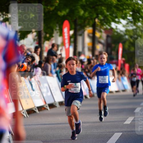 20.09.2026 - PSD Bank Halbmarathon LAZAROV Photography http://msf.ph/oto/10510401 20.09.2026 10:29:57 Laufen 266 meine-sportfotos.de
