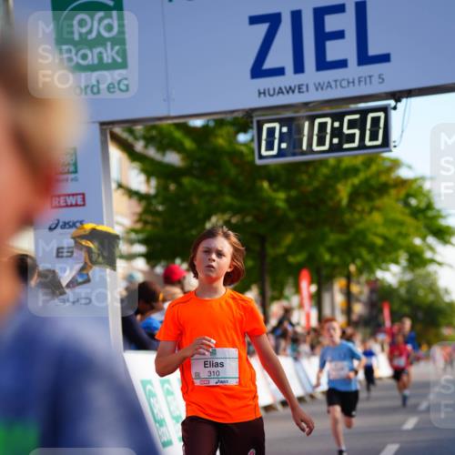 20.09.2026 - PSD Bank Halbmarathon LAZAROV Photography http://msf.ph/oto/10510499 20.09.2026 10:30:14 Laufen 5, 0, 10, 50, 970, 310 meine-sportfotos.de