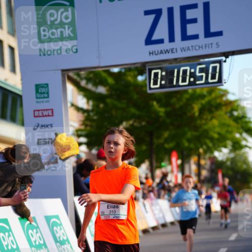 20.09.2026 - PSD Bank Halbmarathon LAZAROV Photography http://msf.ph/oto/10510508 20.09.2026 10:30:14 Laufen 5, 0, 10, 50, 310 meine-sportfotos.de