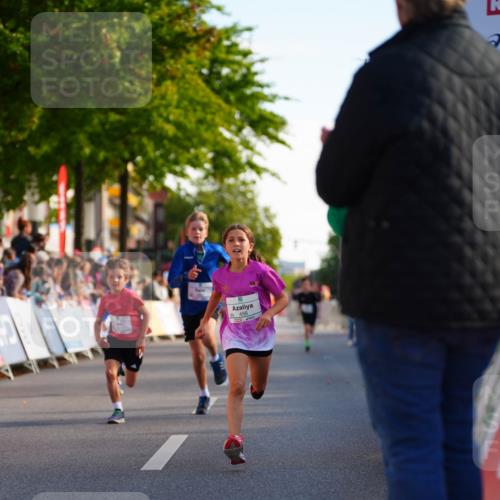20.09.2026 - PSD Bank Halbmarathon LAZAROV Photography http://msf.ph/oto/10510526 20.09.2026 10:30:16 Laufen 5, 456 meine-sportfotos.de