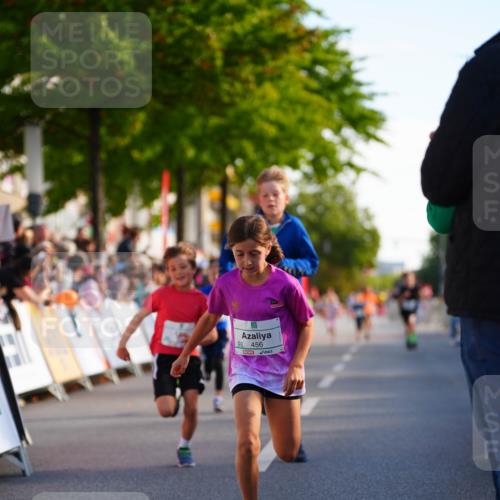 20.09.2026 - PSD Bank Halbmarathon LAZAROV Photography http://msf.ph/oto/10510541 20.09.2026 10:30:17 Laufen 456 meine-sportfotos.de