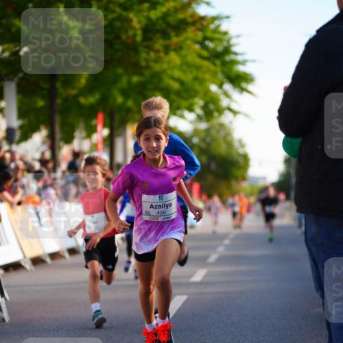 20.09.2026 - PSD Bank Halbmarathon LAZAROV Photography http://msf.ph/oto/10510549 20.09.2026 10:30:17 Laufen 456 meine-sportfotos.de