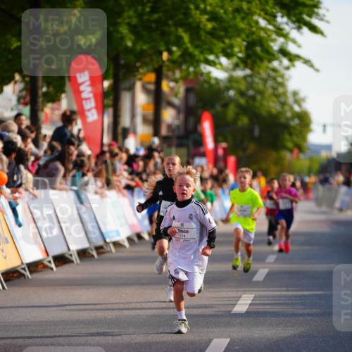 20.09.2026 - PSD Bank Halbmarathon LAZAROV Photography http://msf.ph/oto/10510667 20.09.2026 10:30:31 Laufen  meine-sportfotos.de
