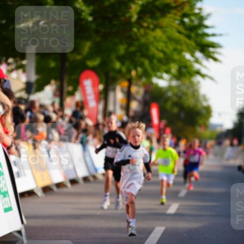 20.09.2026 - PSD Bank Halbmarathon LAZAROV Photography http://msf.ph/oto/10510673 20.09.2026 10:30:32 Laufen  meine-sportfotos.de