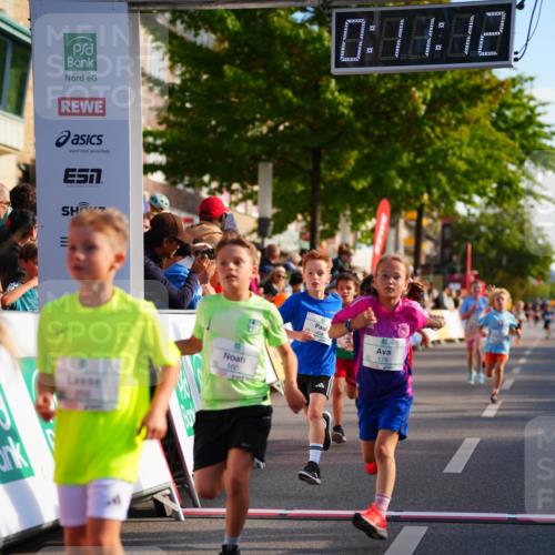 20.09.2026 - PSD Bank Halbmarathon LAZAROV Photography http://msf.ph/oto/10510725 20.09.2026 10:30:36 Laufen 0, 40, 42, 160, 408, 176 meine-sportfotos.de