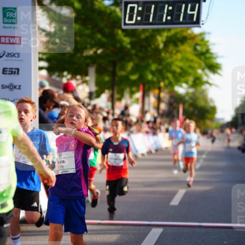 20.09.2026 - PSD Bank Halbmarathon LAZAROV Photography http://msf.ph/oto/10510735 20.09.2026 10:30:38 Laufen 7, 0, 48, 44, 408, 176 meine-sportfotos.de