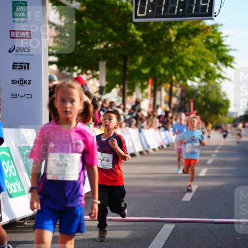 20.09.2026 - PSD Bank Halbmarathon LAZAROV Photography http://msf.ph/oto/10510744 20.09.2026 10:30:38 Laufen 34, 176, 391 meine-sportfotos.de