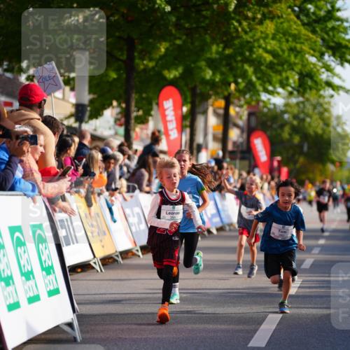 20.09.2026 - PSD Bank Halbmarathon LAZAROV Photography http://msf.ph/oto/10510818 20.09.2026 10:30:48 Laufen  meine-sportfotos.de