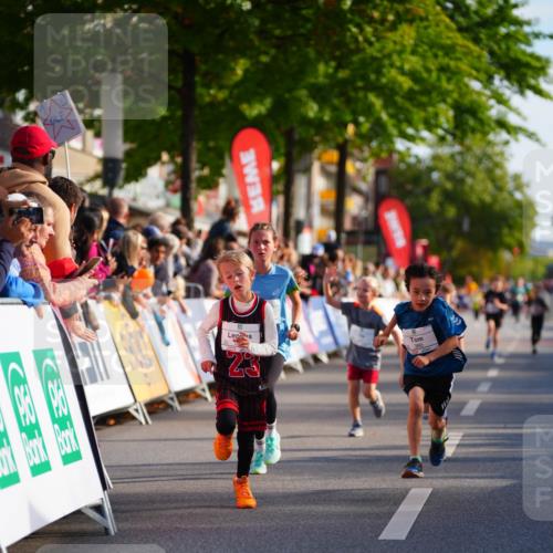 20.09.2026 - PSD Bank Halbmarathon LAZAROV Photography http://msf.ph/oto/10510824 20.09.2026 10:30:48 Laufen  meine-sportfotos.de