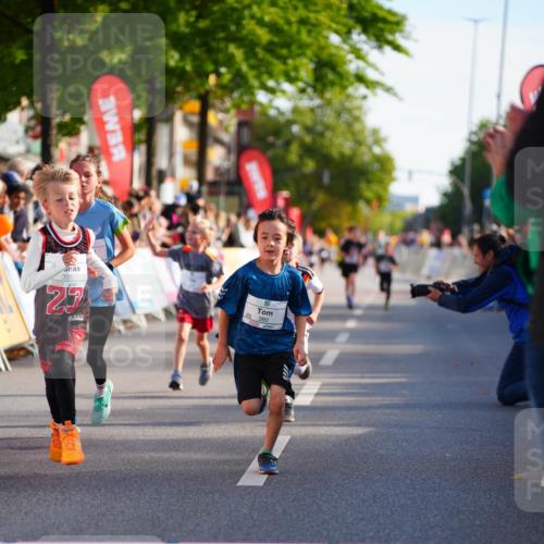 20.09.2026 - PSD Bank Halbmarathon LAZAROV Photography http://msf.ph/oto/10510828 20.09.2026 10:30:49 Laufen  meine-sportfotos.de