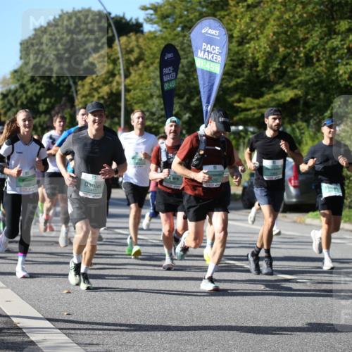20.09.2026 - PSD Bank Halbmarathon Jannik Wohlers http://msf.ph/oto/10510945 20.09.2026 10:29:44 Laufen 4021, 4660, 3413, 01, 45, 01, 451, 4262, 1484, 2868 meine-sportfotos.de