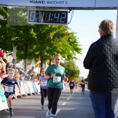 20.09.2026 - PSD Bank Halbmarathon LAZAROV Photography http://msf.ph/oto/10510948 20.09.2026 10:31:06 Laufen 436, 5, 0, 48, 48 meine-sportfotos.de