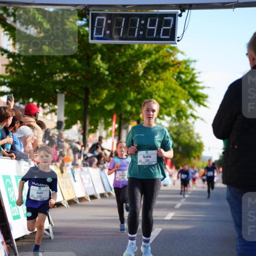 20.09.2026 - PSD Bank Halbmarathon LAZAROV Photography http://msf.ph/oto/10510954 20.09.2026 10:31:07 Laufen 436, 0, 88, 42, 388 meine-sportfotos.de