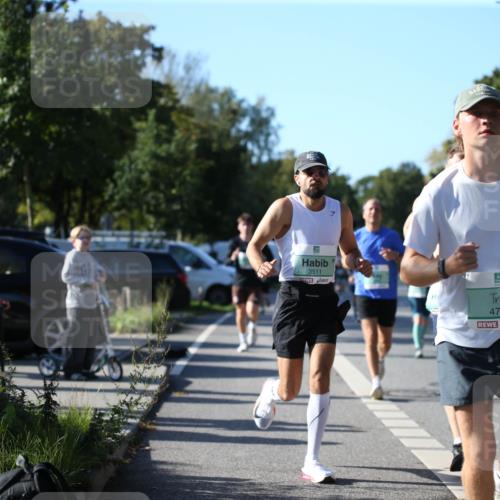 20.09.2026 - PSD Bank Halbmarathon Jannik Wohlers http://msf.ph/oto/10511011 20.09.2026 10:29:49 Laufen 3511, 4774, 4097 meine-sportfotos.de