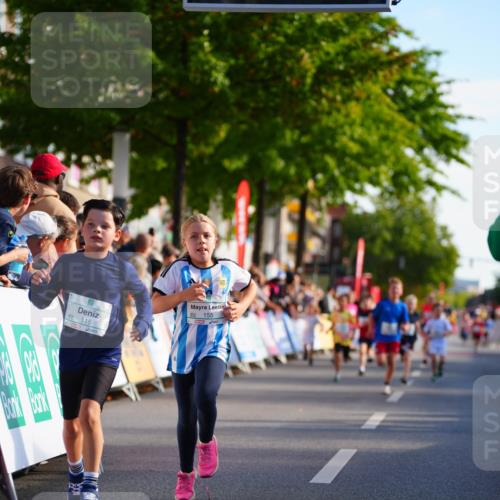 20.09.2026 - PSD Bank Halbmarathon LAZAROV Photography http://msf.ph/oto/10511014 20.09.2026 10:31:15 Laufen 115, 155 meine-sportfotos.de