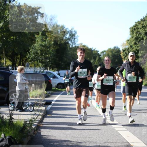 20.09.2026 - PSD Bank Halbmarathon Jannik Wohlers http://msf.ph/oto/10511056 20.09.2026 10:29:52 Laufen 1152, 3664, 3473, 3916 meine-sportfotos.de