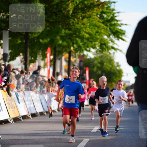 20.09.2026 - PSD Bank Halbmarathon LAZAROV Photography http://msf.ph/oto/10511060 20.09.2026 10:31:18 Laufen 326, 280 meine-sportfotos.de