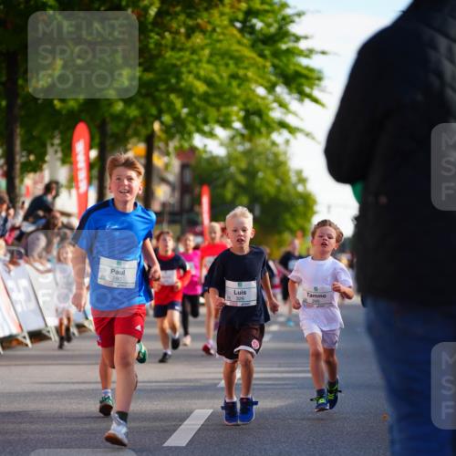 20.09.2026 - PSD Bank Halbmarathon LAZAROV Photography http://msf.ph/oto/10511065 20.09.2026 10:31:19 Laufen 280, 326, 245 meine-sportfotos.de