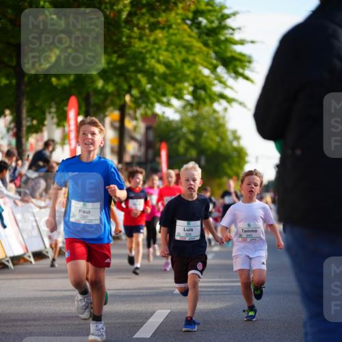 20.09.2026 - PSD Bank Halbmarathon LAZAROV Photography http://msf.ph/oto/10511069 20.09.2026 10:31:19 Laufen 92280, 92326, 245 meine-sportfotos.de