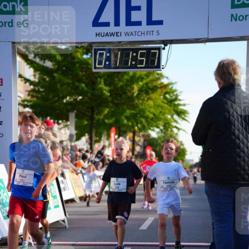 20.09.2026 - PSD Bank Halbmarathon LAZAROV Photography http://msf.ph/oto/10511084 20.09.2026 10:31:21 Laufen 5, 0, 48, 58, 280, 326, 245 meine-sportfotos.de
