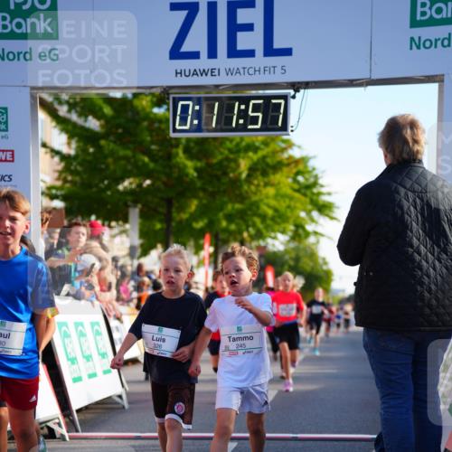 20.09.2026 - PSD Bank Halbmarathon LAZAROV Photography http://msf.ph/oto/10511095 20.09.2026 10:31:22 Laufen 5, 0, 11, 57, 80, 326, 245 meine-sportfotos.de