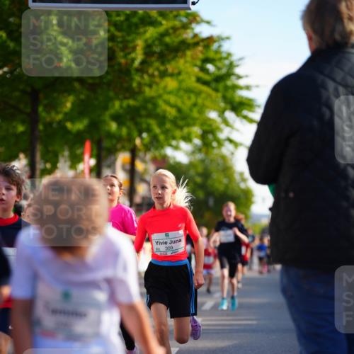 20.09.2026 - PSD Bank Halbmarathon LAZAROV Photography http://msf.ph/oto/10511105 20.09.2026 10:31:23 Laufen 9309 meine-sportfotos.de