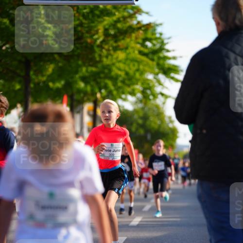 20.09.2026 - PSD Bank Halbmarathon LAZAROV Photography http://msf.ph/oto/10511110 20.09.2026 10:31:23 Laufen 309 meine-sportfotos.de