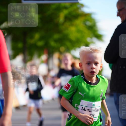 20.09.2026 - PSD Bank Halbmarathon LAZAROV Photography http://msf.ph/oto/10511137 20.09.2026 10:31:26 Laufen 139 meine-sportfotos.de