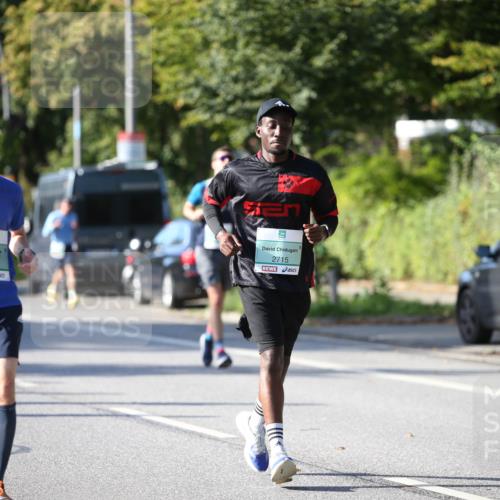 20.09.2026 - PSD Bank Halbmarathon Jannik Wohlers http://msf.ph/oto/10511169 20.09.2026 10:30:01 Laufen 504, 2715 meine-sportfotos.de
