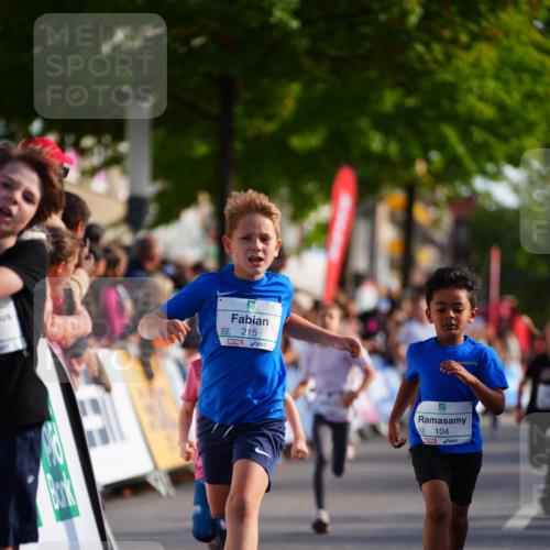 20.09.2026 - PSD Bank Halbmarathon LAZAROV Photography http://msf.ph/oto/10511213 20.09.2026 10:31:33 Laufen 215, 104 meine-sportfotos.de