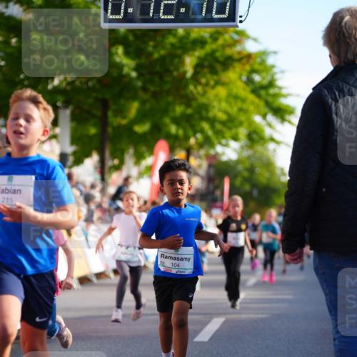 20.09.2026 - PSD Bank Halbmarathon LAZAROV Photography http://msf.ph/oto/10511228 20.09.2026 10:31:34 Laufen 215, 0, 00, 00, 104 meine-sportfotos.de