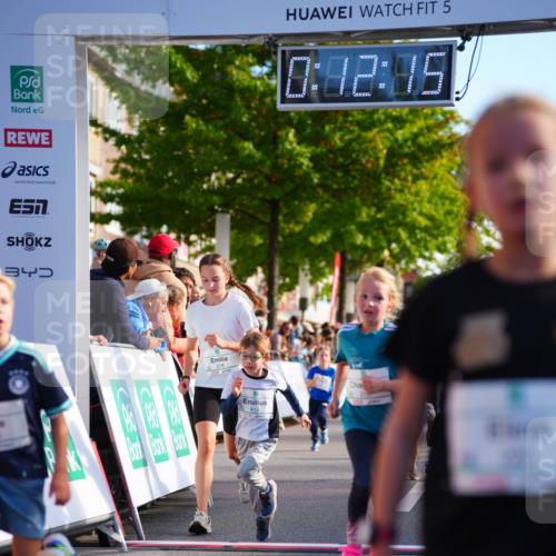 20.09.2026 - PSD Bank Halbmarathon LAZAROV Photography http://msf.ph/oto/10511255 20.09.2026 10:31:39 Laufen 3, 219, 5, 0, 42, 15, 414 meine-sportfotos.de