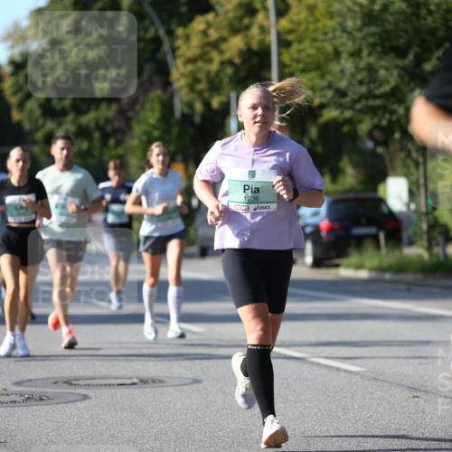 20.09.2026 - PSD Bank Halbmarathon Jannik Wohlers http://msf.ph/oto/10511271 20.09.2026 10:30:08 Laufen 1236 meine-sportfotos.de