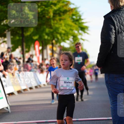 20.09.2026 - PSD Bank Halbmarathon LAZAROV Photography http://msf.ph/oto/10511357 20.09.2026 10:31:52 Laufen 2261 meine-sportfotos.de
