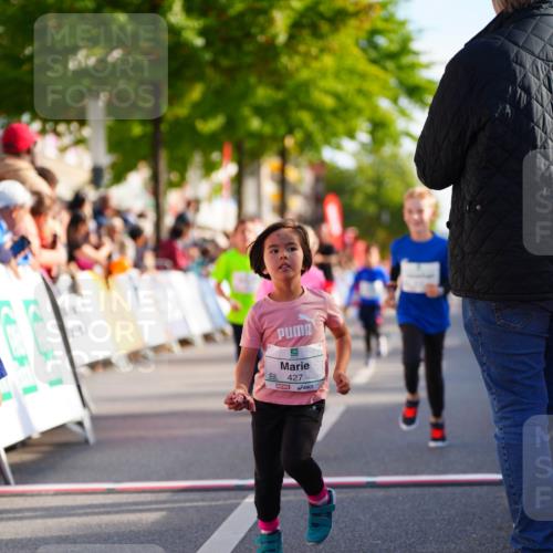 20.09.2026 - PSD Bank Halbmarathon LAZAROV Photography http://msf.ph/oto/10511432 20.09.2026 10:32:01 Laufen 427 meine-sportfotos.de