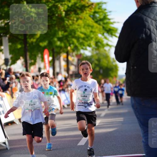 20.09.2026 - PSD Bank Halbmarathon LAZAROV Photography http://msf.ph/oto/10511537 20.09.2026 10:32:11 Laufen 373, 153 meine-sportfotos.de