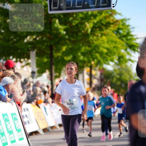 20.09.2026 - PSD Bank Halbmarathon LAZAROV Photography http://msf.ph/oto/10511572 20.09.2026 10:32:17 Laufen 117 meine-sportfotos.de