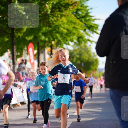 20.09.2026 - PSD Bank Halbmarathon LAZAROV Photography http://msf.ph/oto/10511583 20.09.2026 10:32:18 Laufen 15705, 9249 meine-sportfotos.de