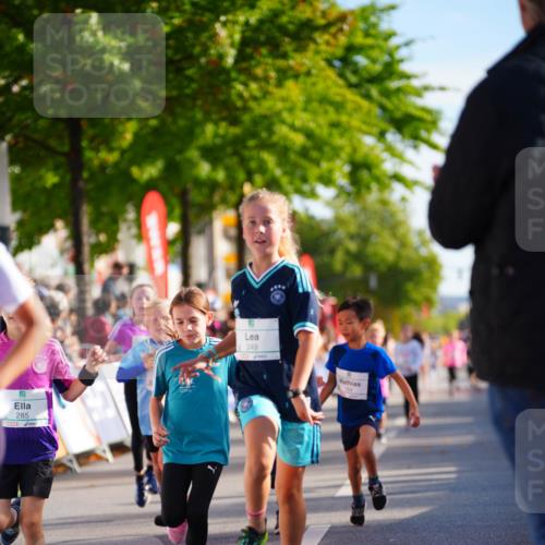20.09.2026 - PSD Bank Halbmarathon LAZAROV Photography http://msf.ph/oto/10511587 20.09.2026 10:32:18 Laufen 285, 249 meine-sportfotos.de