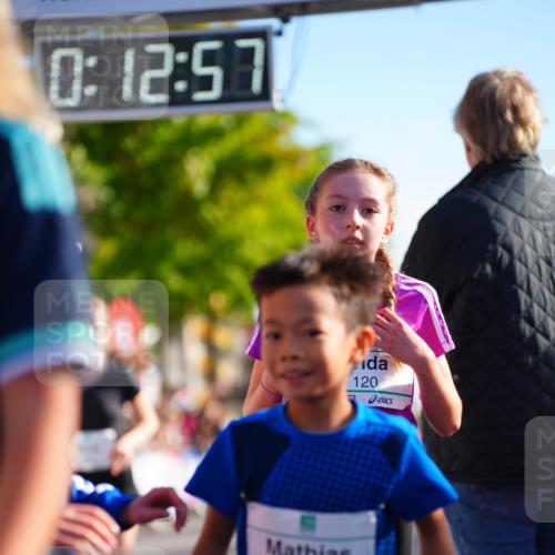 20.09.2026 - PSD Bank Halbmarathon LAZAROV Photography http://msf.ph/oto/10511623 20.09.2026 10:32:21 Laufen 0, 12, 57, 311, 164, 120 meine-sportfotos.de