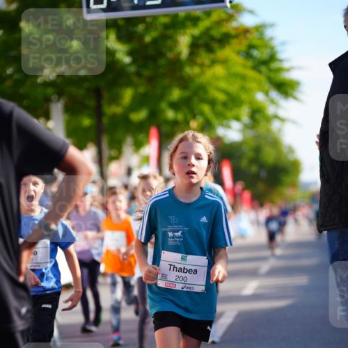 20.09.2026 - PSD Bank Halbmarathon LAZAROV Photography http://msf.ph/oto/10511784 20.09.2026 10:32:42 Laufen 200 meine-sportfotos.de