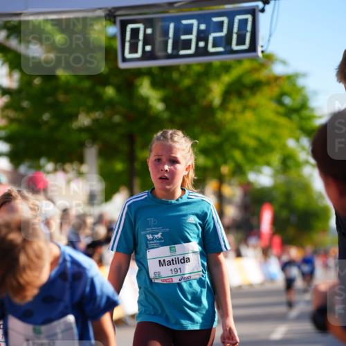 20.09.2026 - PSD Bank Halbmarathon LAZAROV Photography http://msf.ph/oto/10511800 20.09.2026 10:32:44 Laufen 0, 13, 20, 191 meine-sportfotos.de