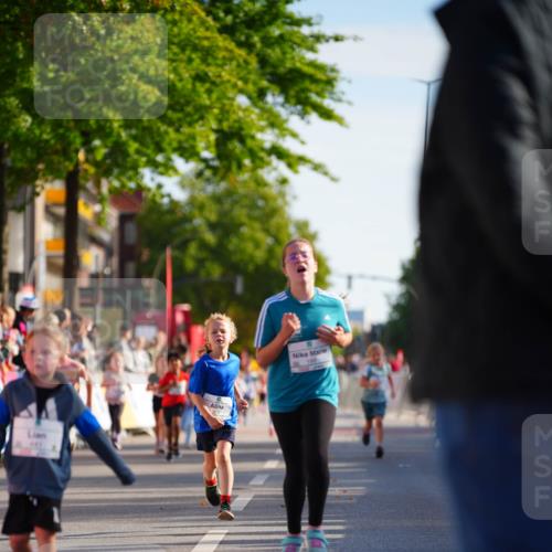 20.09.2026 - PSD Bank Halbmarathon LAZAROV Photography http://msf.ph/oto/10511837 20.09.2026 10:32:50 Laufen 223, 199 meine-sportfotos.de