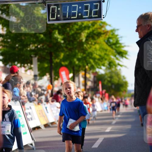 20.09.2026 - PSD Bank Halbmarathon LAZAROV Photography http://msf.ph/oto/10511889 20.09.2026 10:32:56 Laufen 41, 10, 0, 43, 32 meine-sportfotos.de