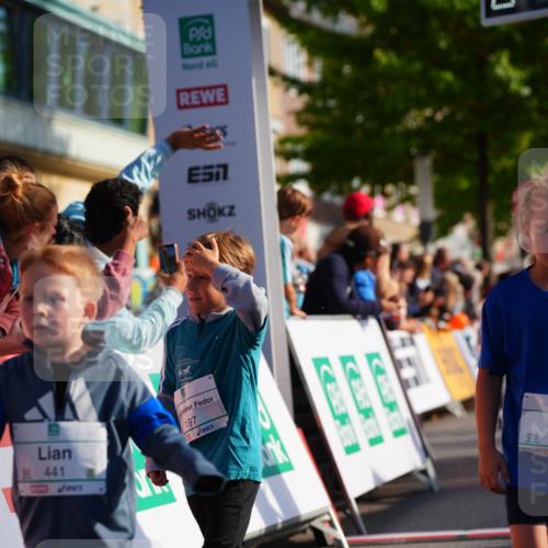 20.09.2026 - PSD Bank Halbmarathon LAZAROV Photography http://msf.ph/oto/10511926 20.09.2026 10:32:58 Laufen 57, 441 meine-sportfotos.de