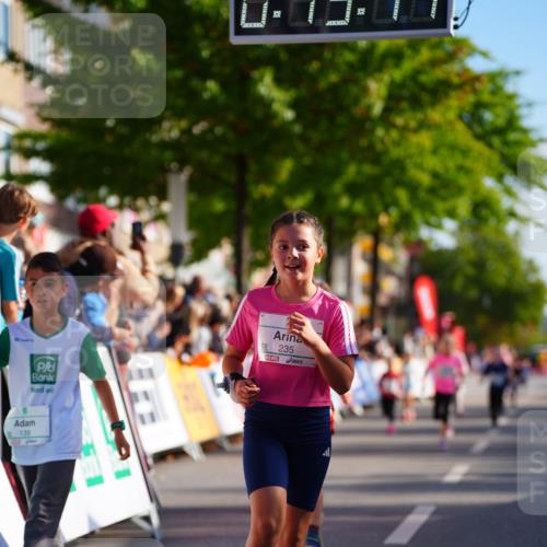 20.09.2026 - PSD Bank Halbmarathon LAZAROV Photography http://msf.ph/oto/10511998 20.09.2026 10:33:08 Laufen 6, 139, 235 meine-sportfotos.de