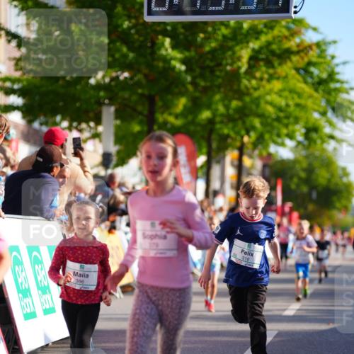20.09.2026 - PSD Bank Halbmarathon LAZAROV Photography http://msf.ph/oto/10512053 20.09.2026 10:33:15 Laufen  meine-sportfotos.de
