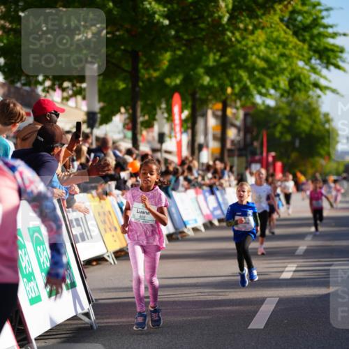20.09.2026 - PSD Bank Halbmarathon LAZAROV Photography http://msf.ph/oto/10512162 20.09.2026 10:33:27 Laufen 50 meine-sportfotos.de